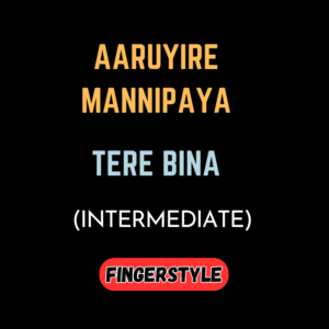 Aaruyire Mannipaya - Tere Bina  | Fingerstyle