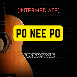 Po Nee Po | Fingerstyle